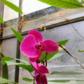 IMG_20251122_161408_471.jpg