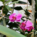 IMG_20251122_161455_022.jpg