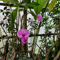 IMG_20251122_161703_678.jpg