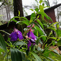 IMG_20251122_162459_166.jpg
