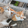 IMG_20260417_174345_8.jpg